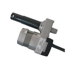 주문 Bulit를 가진 정격 12V DC 선형 액추에이터 애크미 나사 - 한계 스위치에서 - online manufacture